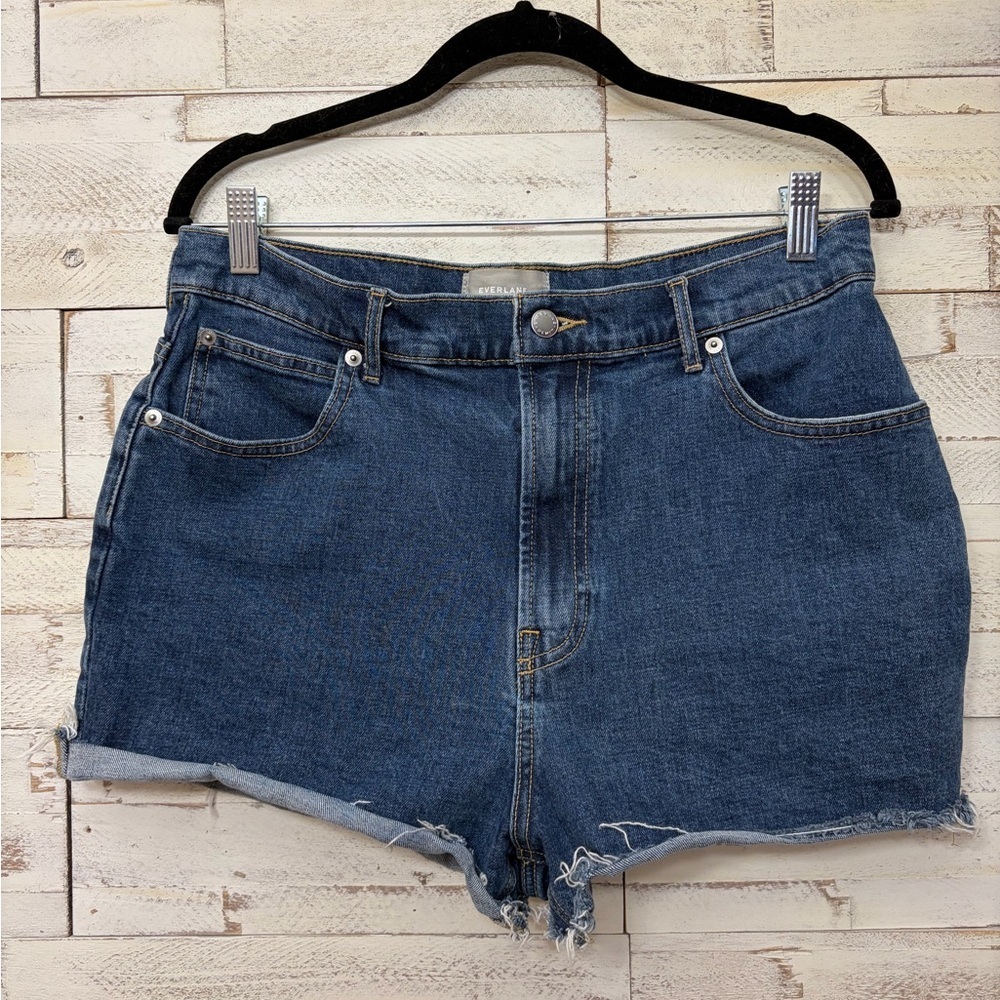 Everlane The Way High Denim Short Blue‎ Jeans Size 31